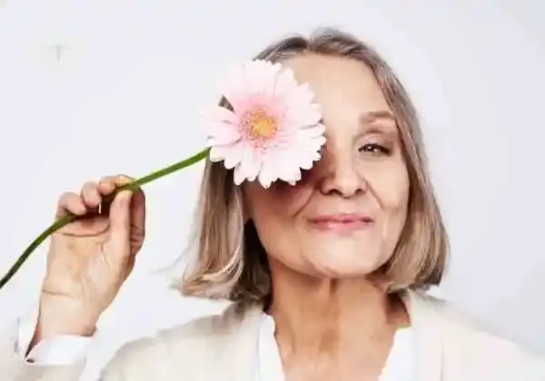 menopausa artigo