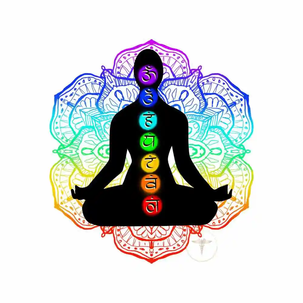 chakras e mudra