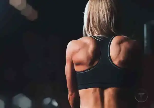 fitness up capa