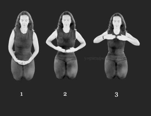 Os mudras ou gestos simbólicos do yoga