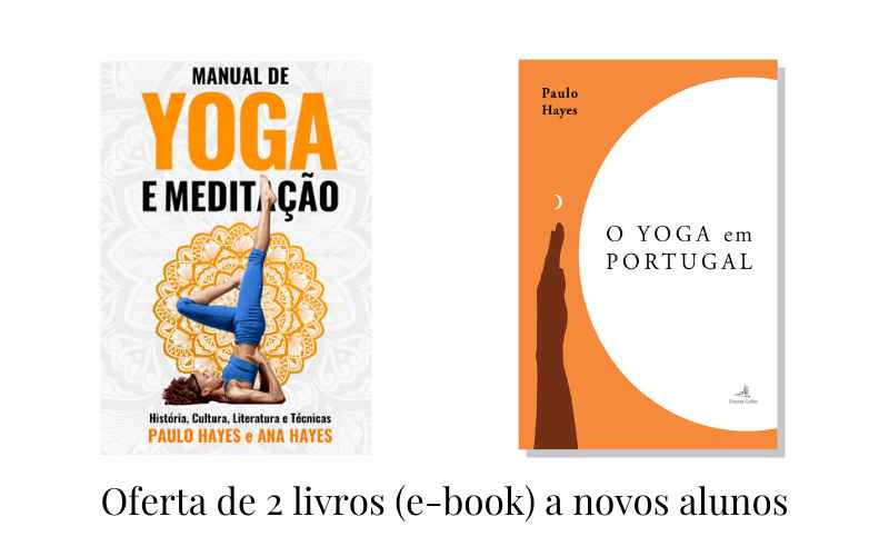 Opinião sobre o curso de yoga dos professores internacionais Yoga Alliance
